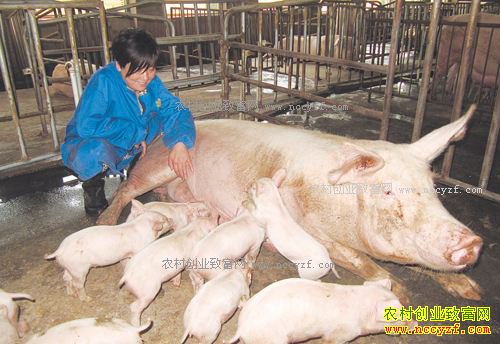 ������������Ů��������������ҵ��������һ���¸�