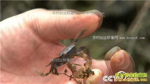 �¸�������ù����ˮ���Ա�������(20170412)