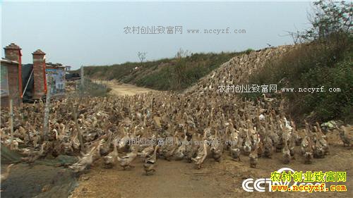 �¸�������ù����ˮ���Ա�������(20170412)