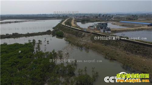 �¸�������ù����ˮ���Ա�������(20170412)