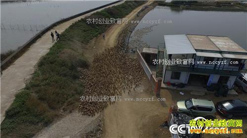 �¸�������ù����ˮ���Ա�������(20170412)