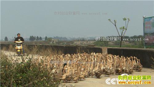 �¸�������ù����ˮ���Ա�������(20170412)