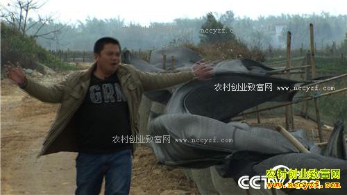 �¸�������ù����ˮ���Ա�������(20170412)