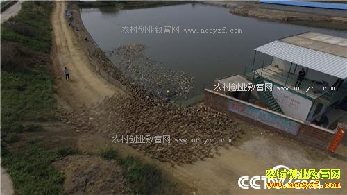 �¸�������ù����ˮ���Ա�������(20170412)