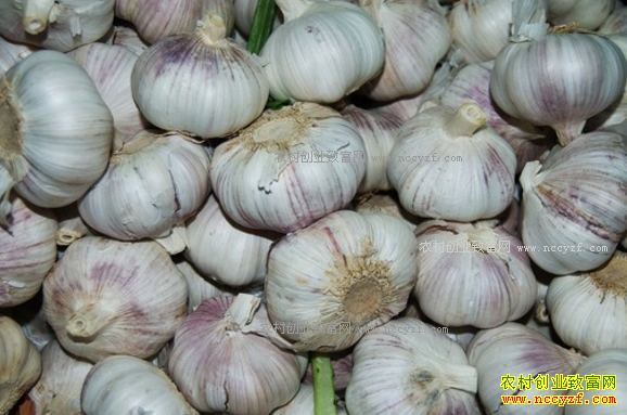 2017�����۸�����Ԥ�⣺������ݡ����������