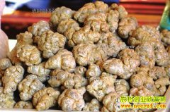 ���߶���Ǯһ�2017��4��16���������߼۸�����