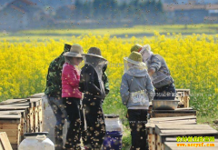 ���������أ������ũ��ҵ�¸�����Ŀ