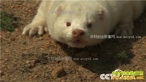 �¸�������������������ַ���(20170414)