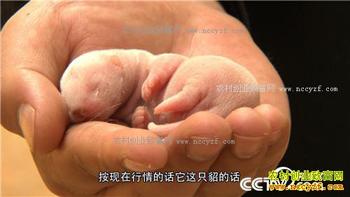 �¸�������������������ַ���(20170414)