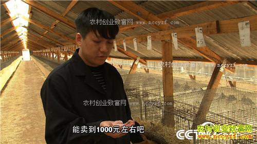 �¸�������������������ַ���(20170414)