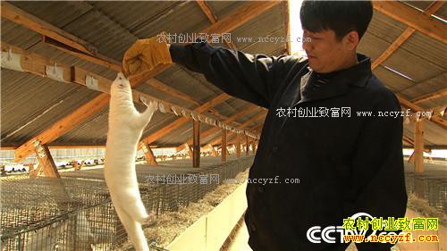 �¸�������������������ַ��� 4��14��