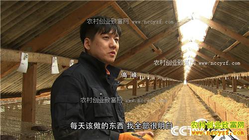 �¸�������������������ַ���(20170414)