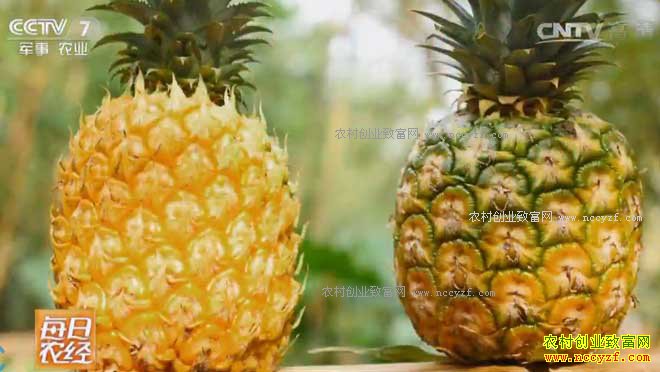 [ÿ��ũ��]���ܵ��׽������ 20170413