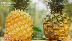 [ÿ��ũ��]�㶫տ�����ܵ��׽������