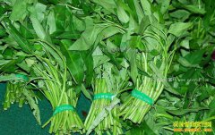 ����ᶼ���ٲ������м۸�����