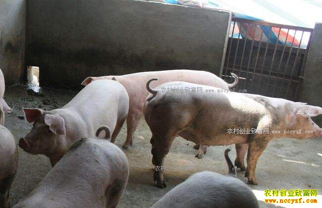 �Ĵ���������ȫ���µ�