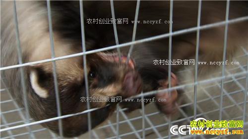 �¸������������������ ����ǧ��(20170417)