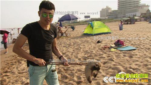 �¸������������������ ����ǧ�� 4��17��