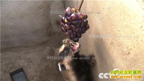 �¸������������������ ����ǧ��(20170417)