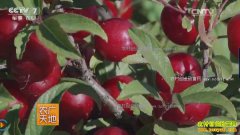 [ũ�����]ŷ�����������������Ƶ