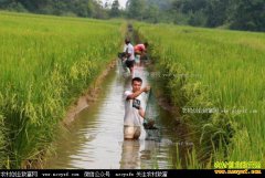 ������С��ϺЧ��ߣ���ֳС��Ϻϸ�ں���Ҫ