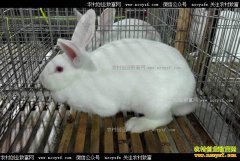 ��������������������ֳ���ó�ũ���¸�����Ŀ