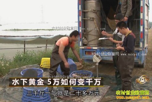 �㶫��ݸ������Ͷ��5����ֳ������׬2000��