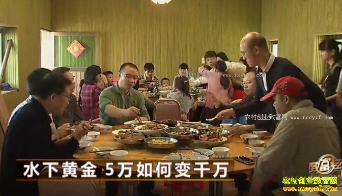 �㶫��ݸ������Ͷ��5����ֳ������׬2000��