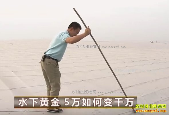 �㶫��ݸ������Ͷ��5����ֳ������׬2000��