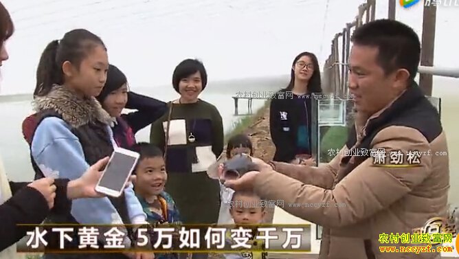 �㶫��ݸ������Ͷ��5����ֳ������׬2000��