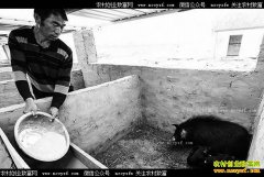 �ӱ�����أ���ֳާ������ũ���¸�����Ŀ