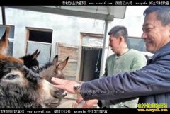 �������³�¶������¿��ҵ��ũ��ƶ�¸�