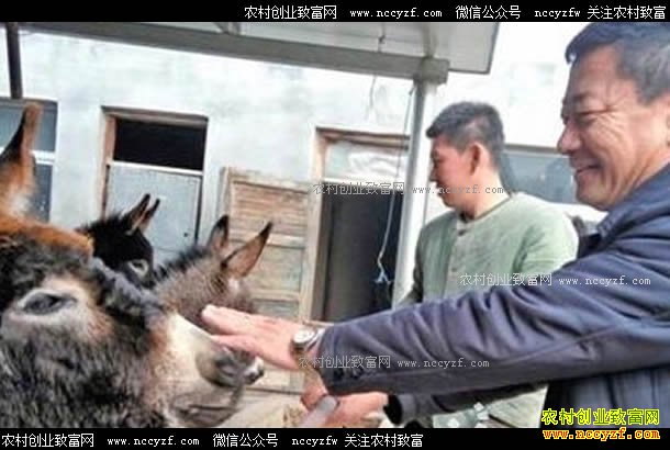 �������³�¶������¿��ҵ��ũ��ƶ�¸�