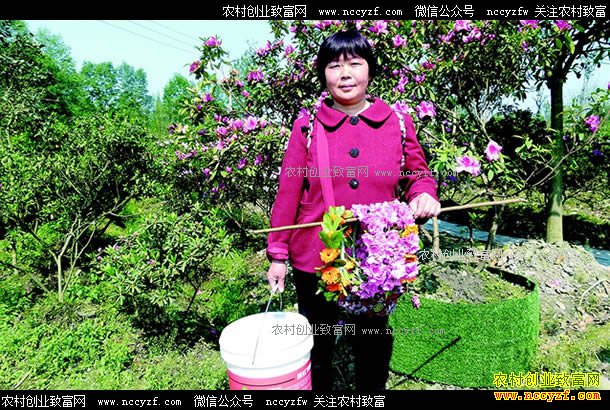 �Ĵ������ν����ֱ��ʻ�����������СǮ