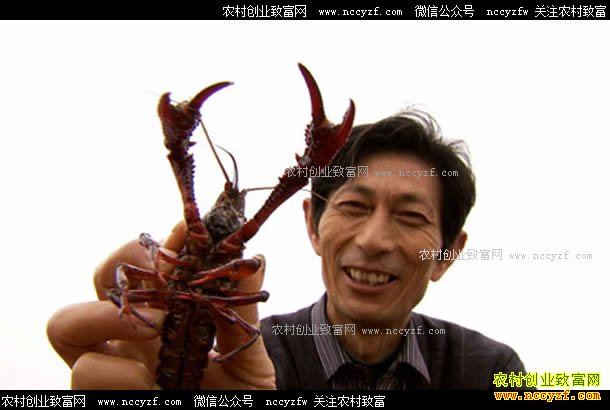 [�¸���]����ȫ�����������ֳС��Ϻ������ǧ����