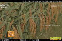 [ũ�����]�ӱ�޻�������¶����辶����С��·