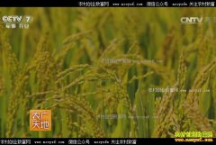 [ũ�����]����������������Ф�����������ִ���ͥũ��