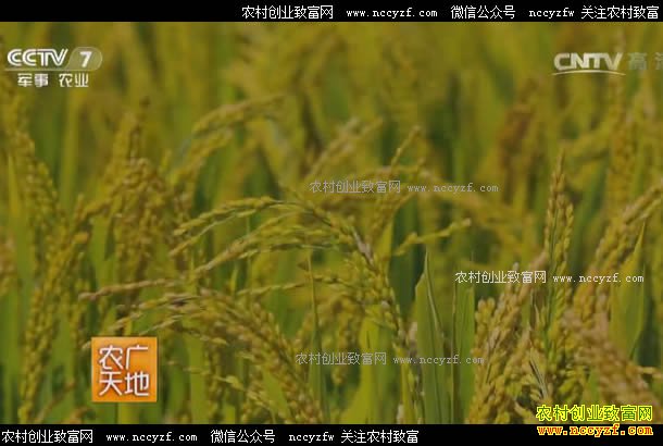 [ũ�����]������Ф�����������ִ���ͥũ��