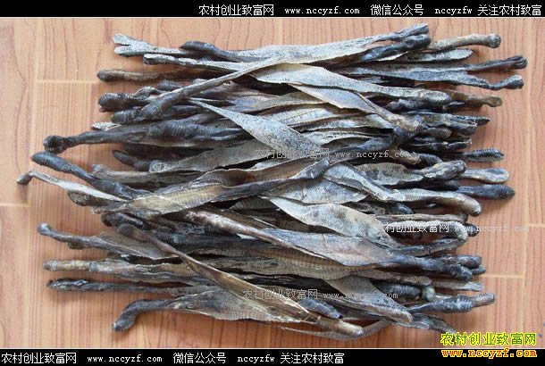 ��ҩ�ĵ����۸�