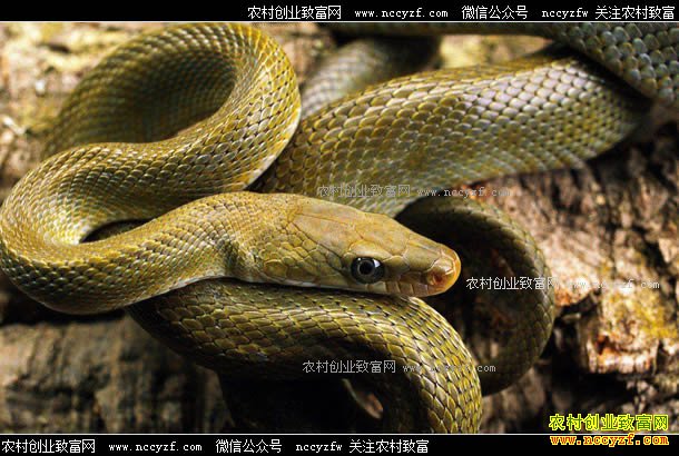 ���ϴ����ء���˾��������������¸���