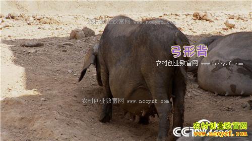 �¸�����90��С��ĲƸ���Ϯ(20170421)