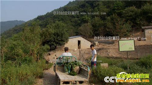 �¸�����90��С��ĲƸ���Ϯ(20170421)