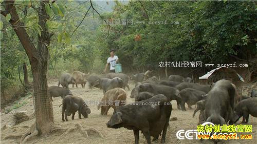 �¸�����90��С��ĲƸ���Ϯ(20170421)