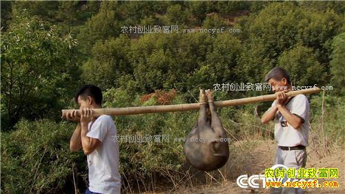 �¸�����90��С��ĲƸ���Ϯ(20170421)