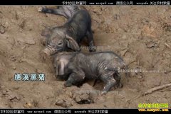 [�¸���]���ռ�Ϫ90��С����������ֳ��Ϫ������ҵ�¸�