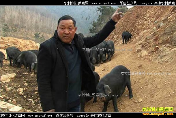 [�¸���]ɽ�����ʹ���ˮɽ����ֳ��������ǧ��Ԫ