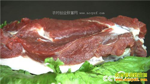 �¸���������ø� �Ƹ���ɽ��(20170425)