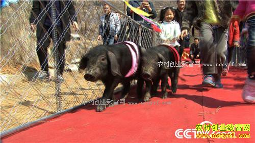 �¸���������ø� �Ƹ���ɽ��(20170425)