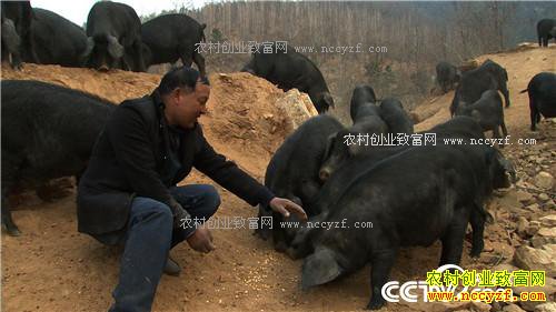 �¸���������ø� �Ƹ���ɽ��(20170425)