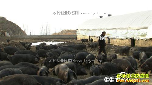 �¸���������ø� �Ƹ���ɽ��(20170425)